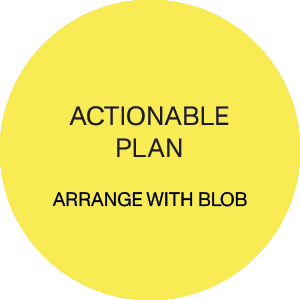 actionable-plan-yl