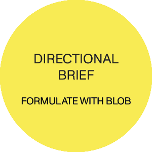 directional-brief-yl