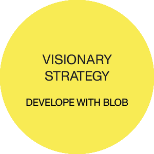 visionary-strategy-yl